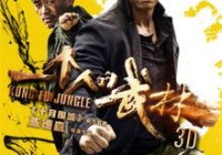 《一个人的武林》迅雷高清种子下载